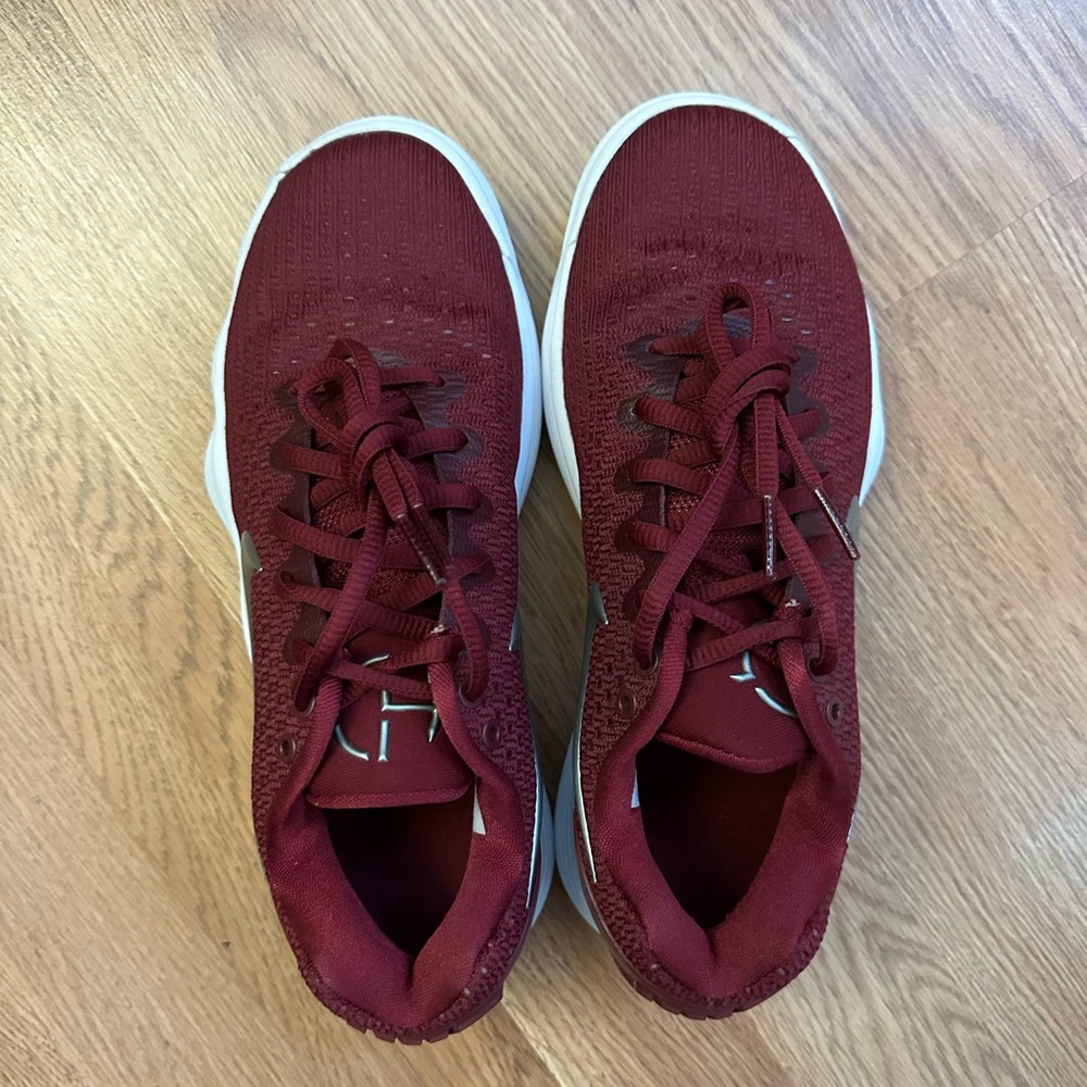 Nike Hyperdunks Low